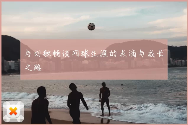 与刘敏畅谈网球生涯的点滴与成长之路