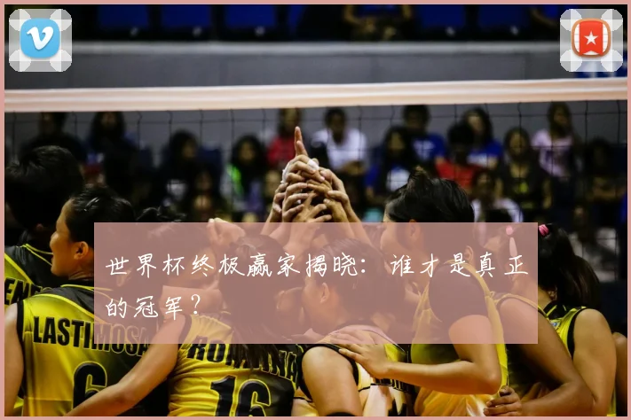 世界杯终极赢家揭晓:谁才是真正的冠军?
