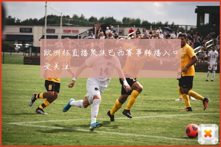 欧洲杯直播聚焦巴西赛事转播入口受关注