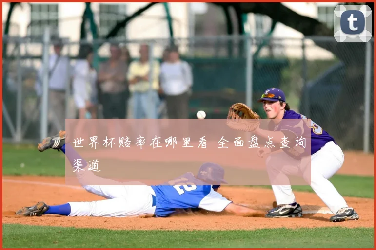 世界杯赔率在哪里看 全面盘点查询渠道