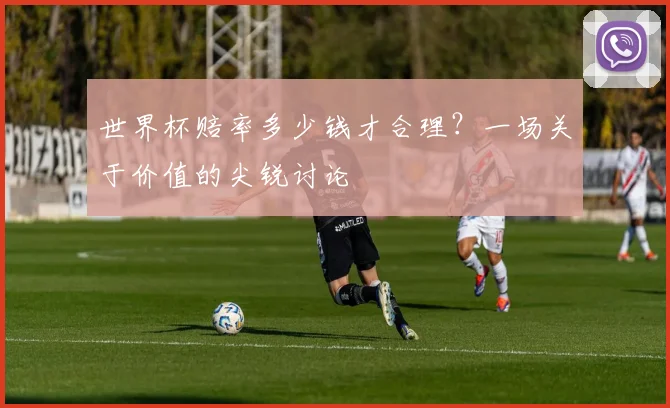 世界杯赔率多少钱才合理?一场关于价值的尖锐讨论