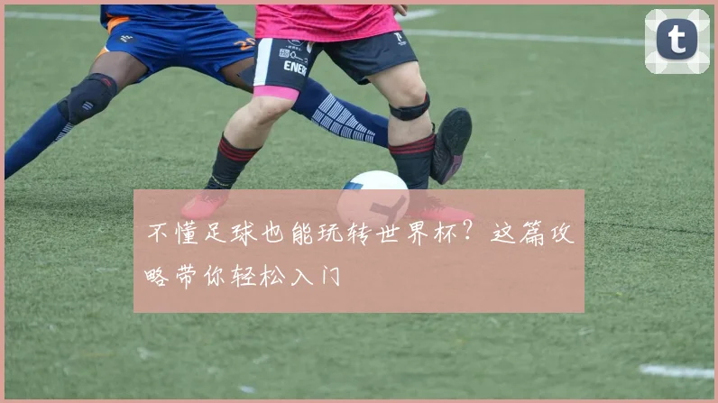 不懂足球也能玩转世界杯?这篇攻略带你轻松入门