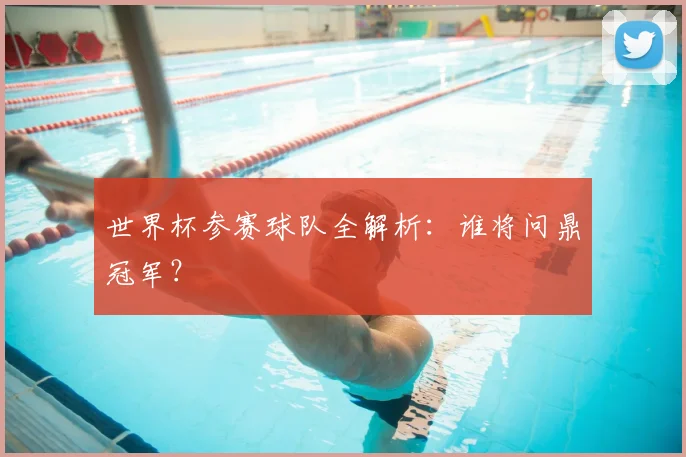 世界杯参赛球队全解析：谁将问鼎冠军？