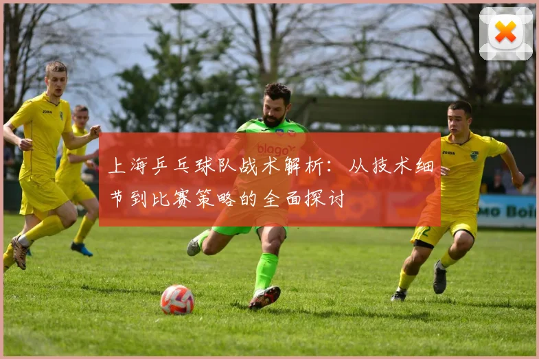 上海乒乓球队战术解析:从技术细节到比赛策略的全面探讨