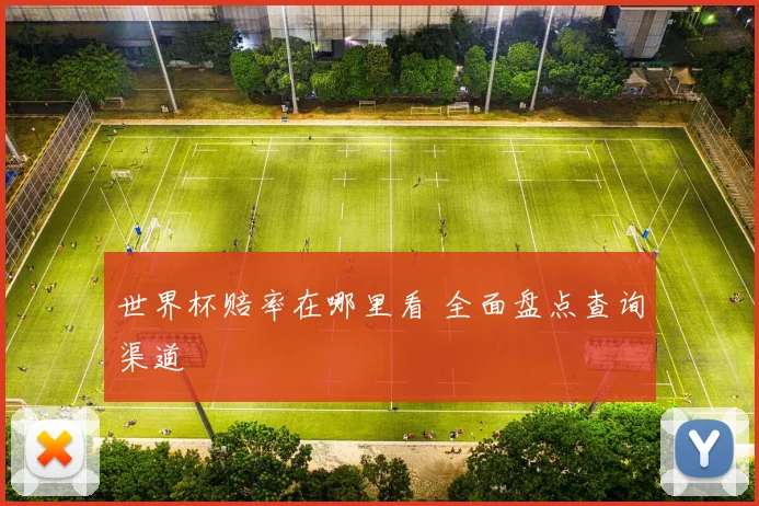 世界杯赔率在哪里看 全面盘点查询渠道