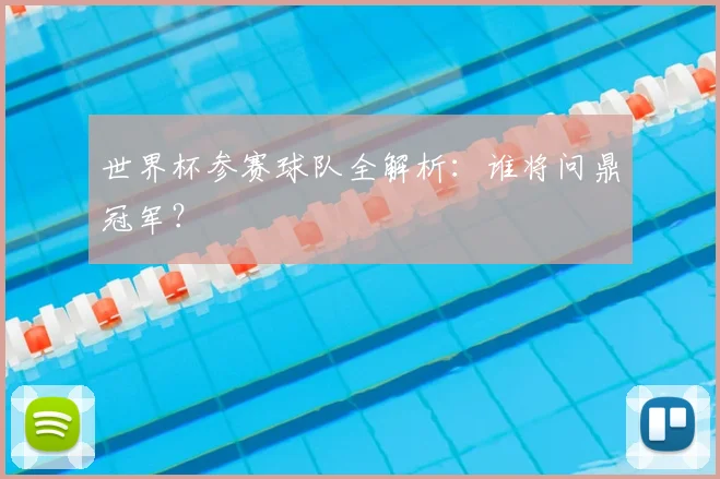 世界杯参赛球队全解析:谁将问鼎冠军?