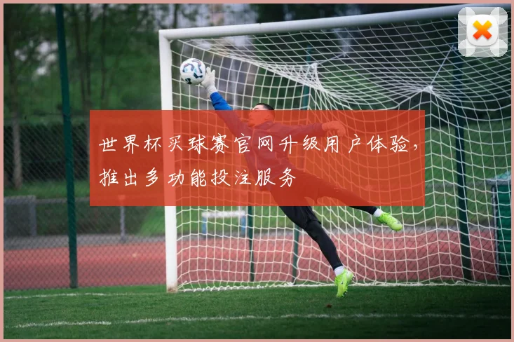 世界杯买球赛官网升级用户体验,推出多功能投注服务