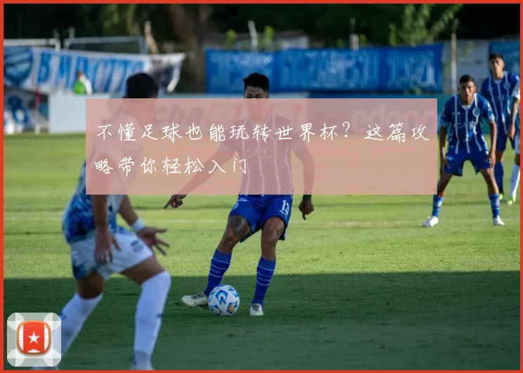 不懂足球也能玩转世界杯?这篇攻略带你轻松入门