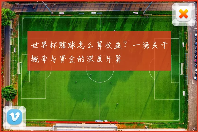 世界杯赌球怎么算收益?一场关于概率与资金的深度计算