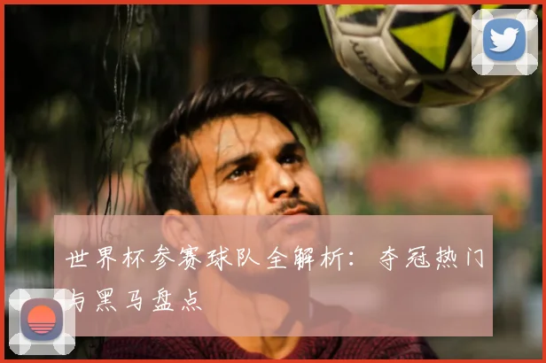 世界杯参赛球队全解析：夺冠热门与黑马盘点